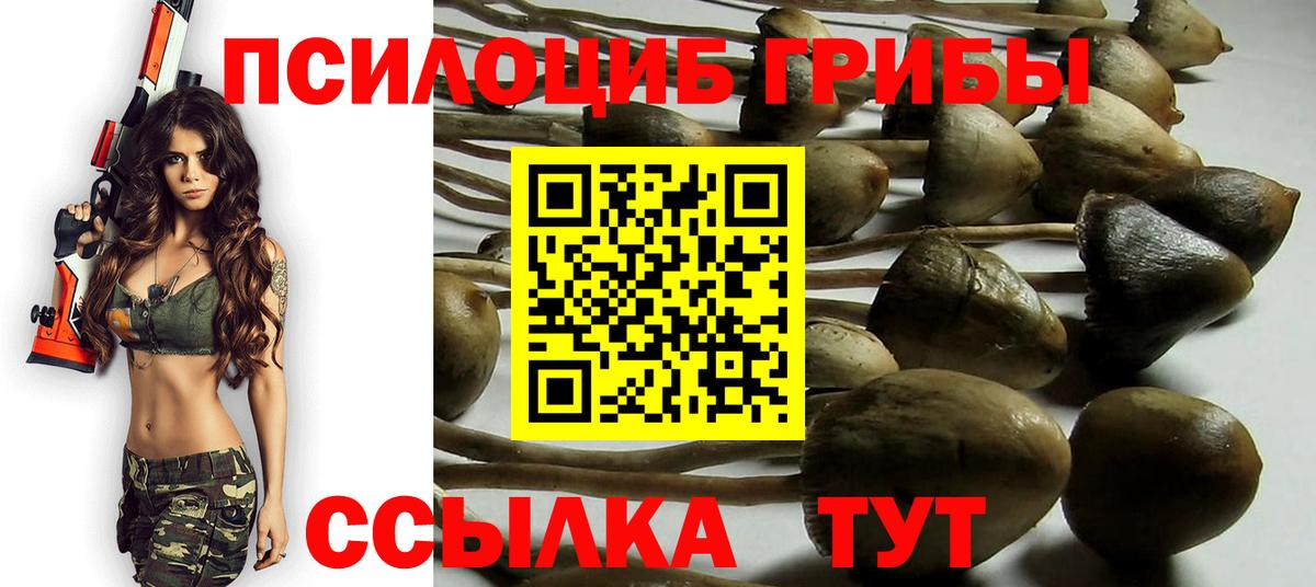 Псилоцибиновые грибы ЛСД  Псилоцибиновые грибы Psilocybe  Бирск  Вход с VPN 