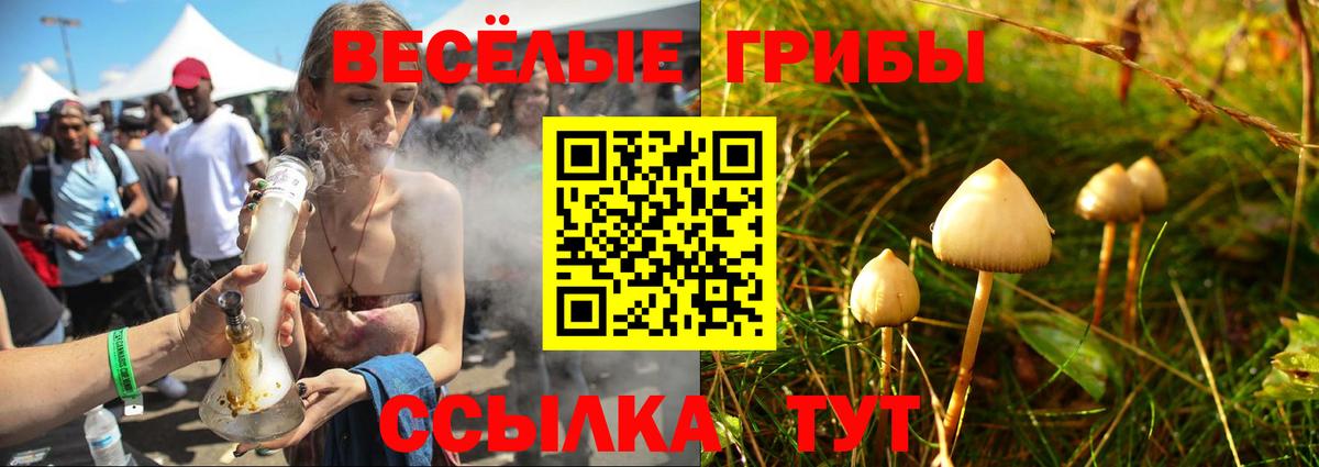 Галлюциногенные грибы GOLDEN TEACHER Бирск